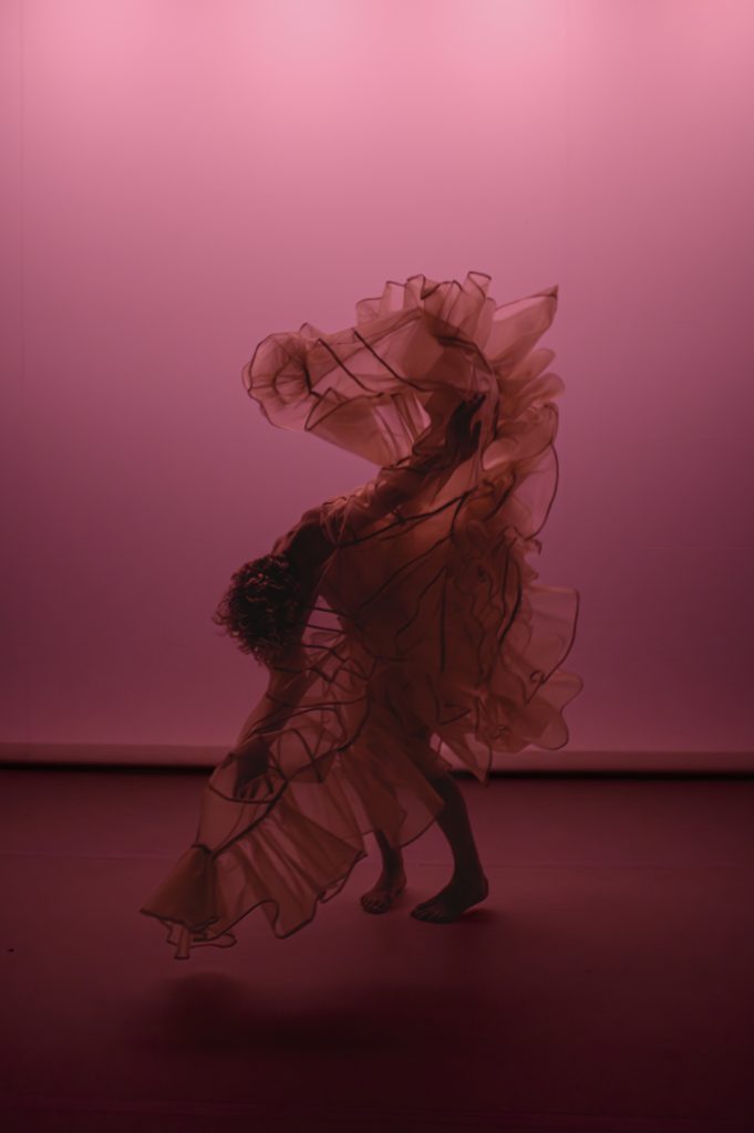 panaches_phrenatapires-10