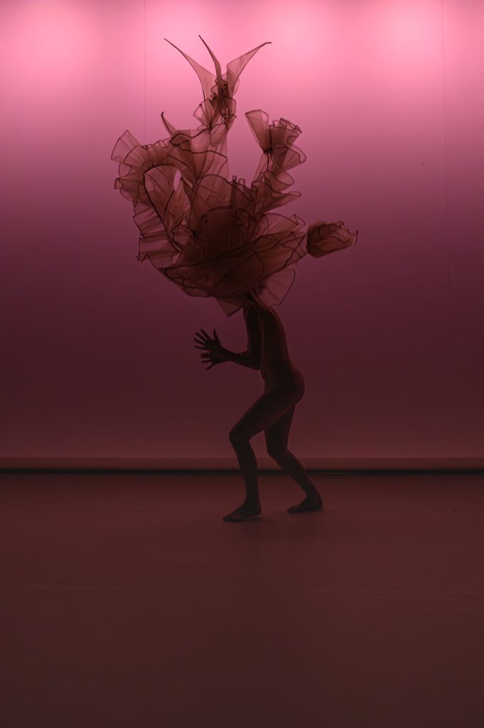 panaches_phrenatapires-9-5882934